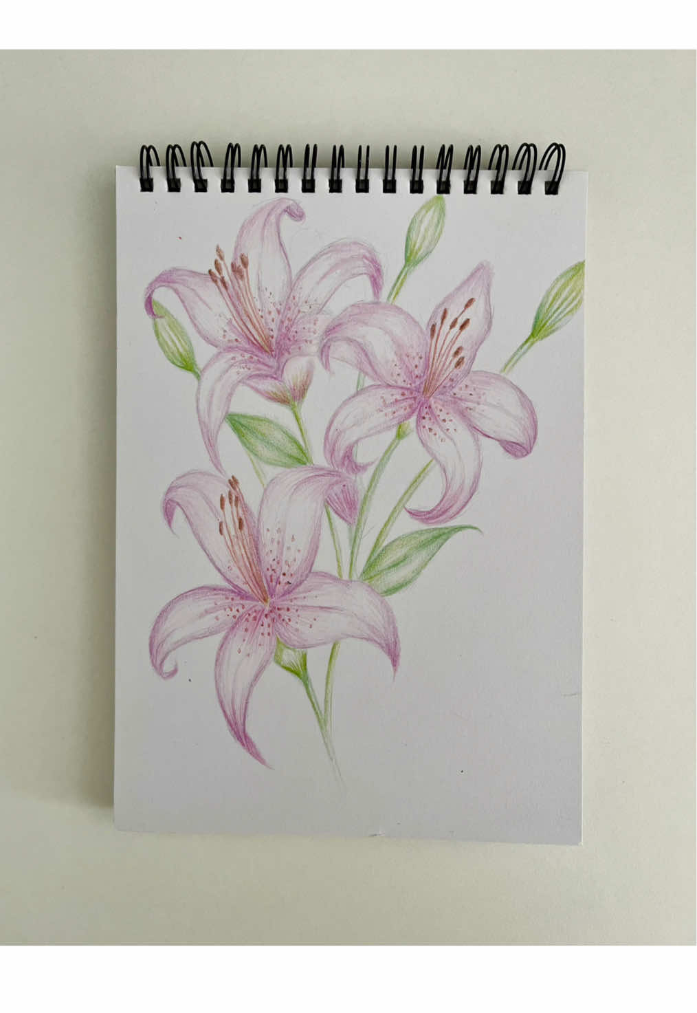 How to draw lilies with colored pencils