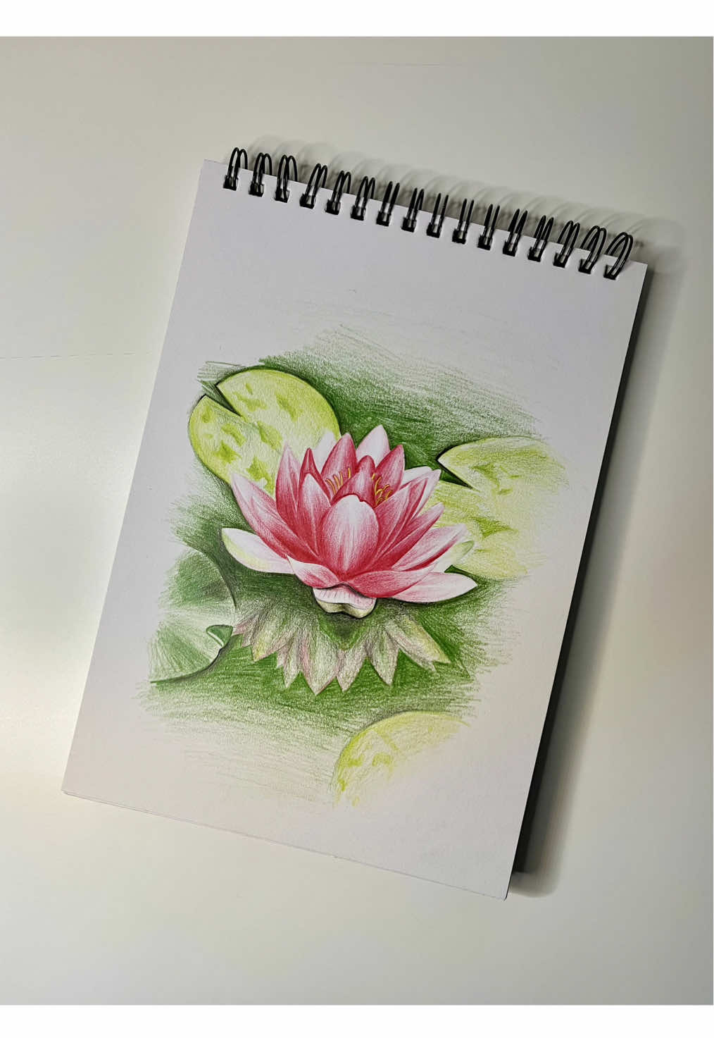 How to draw a lotus flower with colored pencils