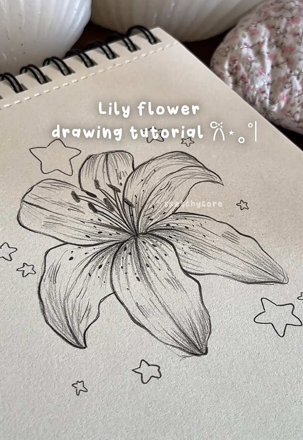 Lily flower drawing tutorial
