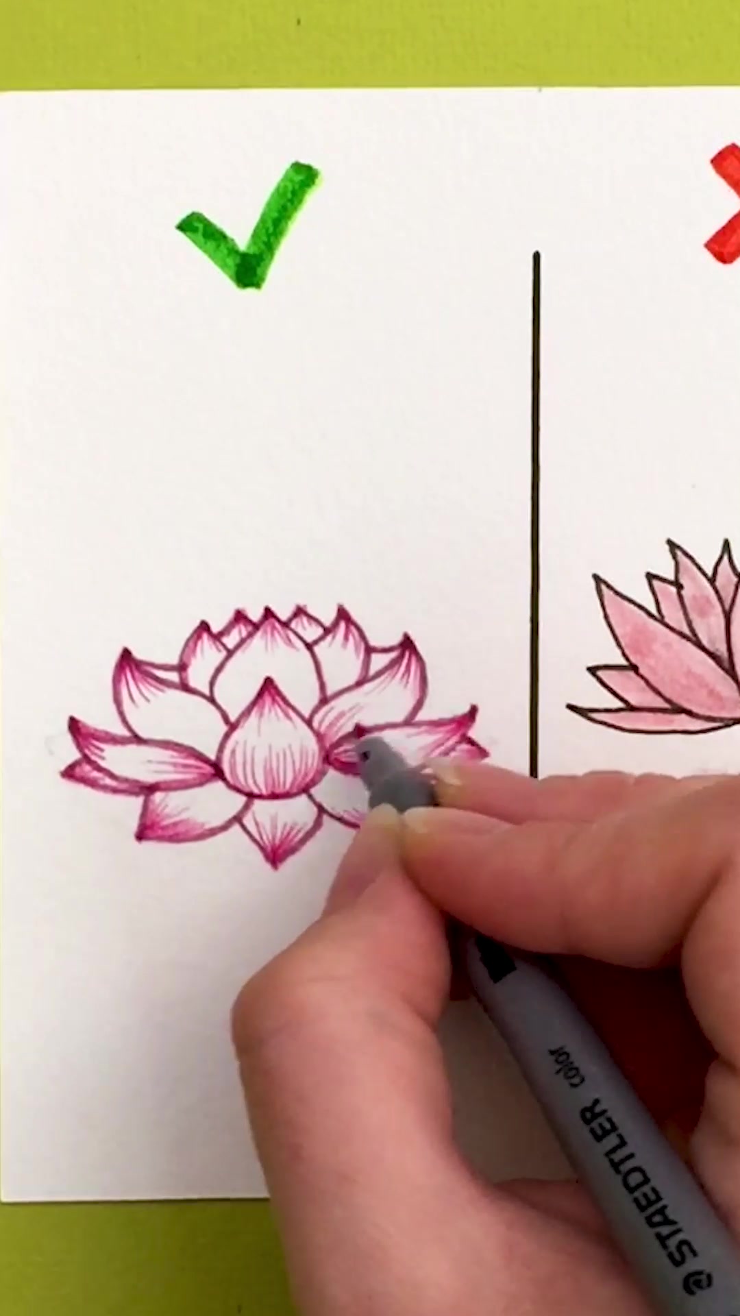 Lotus Flower Drawing Tutorial